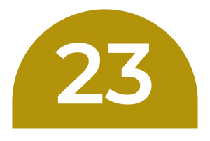 23