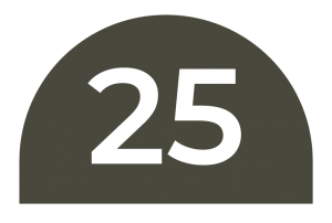 25